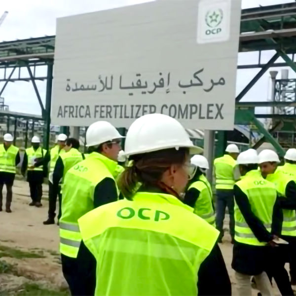 Le groupe marocain OCP présente son nouveau programme d’investissement dans le marché des engrais verts